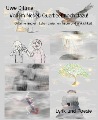 Uwe Dittmer: Voll im Nebel. Querbeet noch dazu!