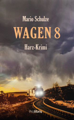 Mario Schulze: Wagen 8