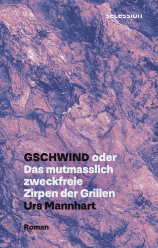 Urs Mannhart: Gschwind