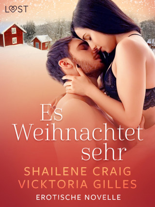 Vicktoria Gilles, Shailene Craig: Es Weihnachtet sehr - Erotische Novelle