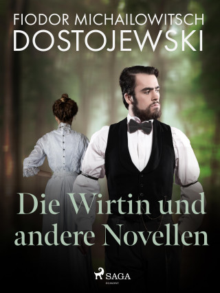 Fjodor M Dostojewski: Die Wirtin und andere Novellen