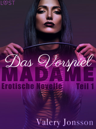 Valery Jonsson: Madame 1: Das Vorspiel - Erotische Novelle