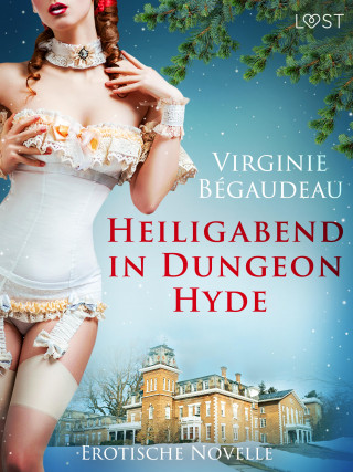 Virginie Bégaudeau: Heiligabend in Dungeon Hyde - Erotische Novelle