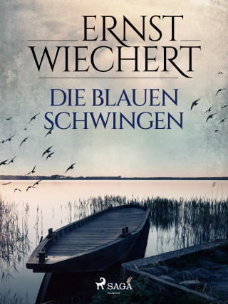 Ernst Wiechert: Die blauen Schwingen