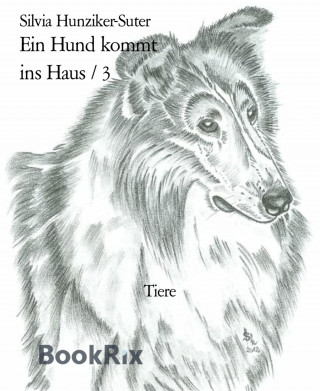 Silvia Hunziker-Suter: Ein Hund kommt