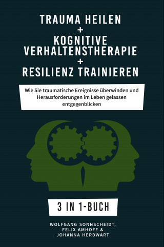 Wolfgang Sonnscheidt, Felix Amhoff, Johanna Herdwart: Trauma heilen + Kognitive Verhaltenstherapie + Resilienz trainieren