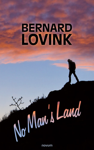 Bernard Lovink: No Man's Land