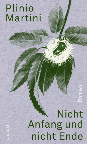 Plinio Martini: Nicht Anfang und nicht Ende