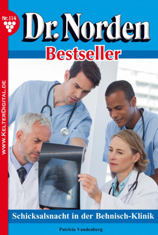Patricia Vandenberg: Dr. Norden Bestseller 114 – Arztroman