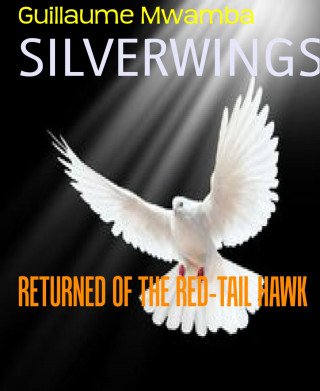 Guillaume Mwamba: SILVERWINGS