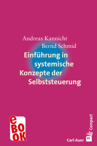Andreas Kannicht, Bernd Schmid: Einführung in systemische Konzepte der Selbststeuerung