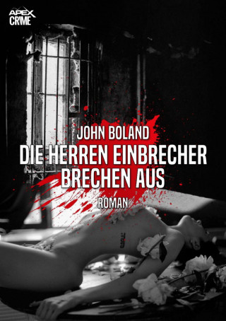 John Boland: DIE HERREN EINBRECHER BRECHEN AUS