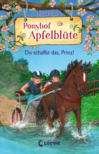 Pippa Young: Ponyhof Apfelblüte (Band 19) - Du schaffst das, Prinz!