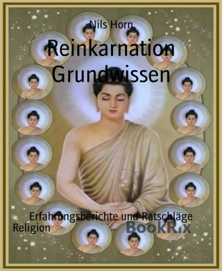 Nils Horn: Reinkarnation Grundwissen