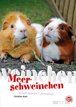 Christian Koch: Meerschweinchen