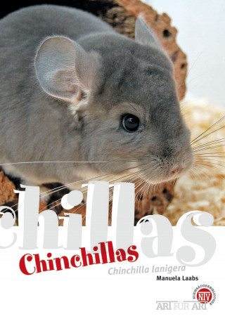 Manuela Laabs: Chinchillas