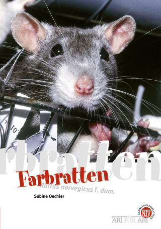Sabine Oechler: Farbratten