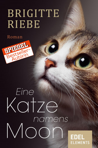 Brigitte Riebe: Eine Katze namens Moon