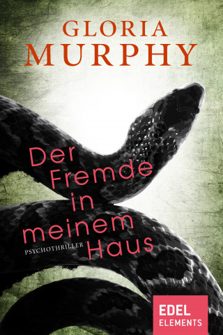 Gloria Murphy: Der Fremde in meinem Haus