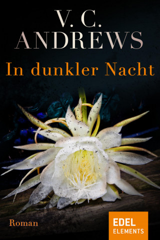 V.C. Andrews: In dunkler Nacht