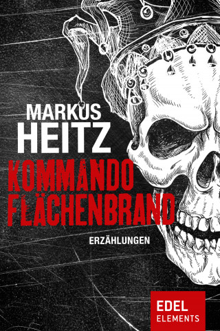 Markus Heitz: Kommando Flächenbrand