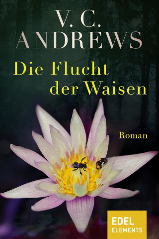 V.C. Andrews: Die Flucht der Waisen