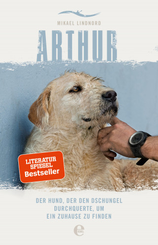 Mikael Lindnord: Arthur. Der Hund, der den Dschungel durchquerte, um ein Zuhause zu finden