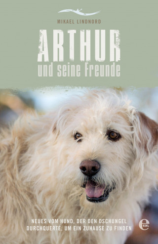 Mikael Lindnord: Arthur und seine Freunde