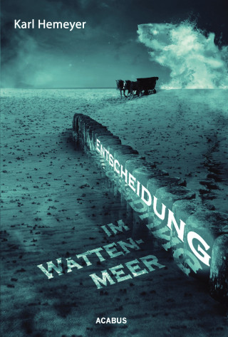 Karl Hemeyer: Entscheidung im Wattenmeer