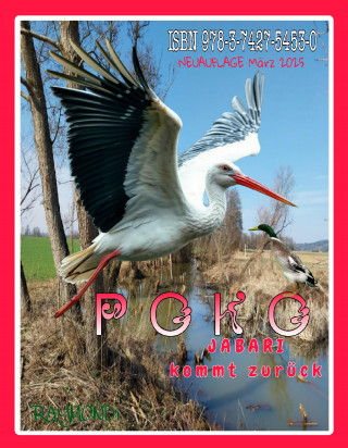 RAYMONDi: POKO