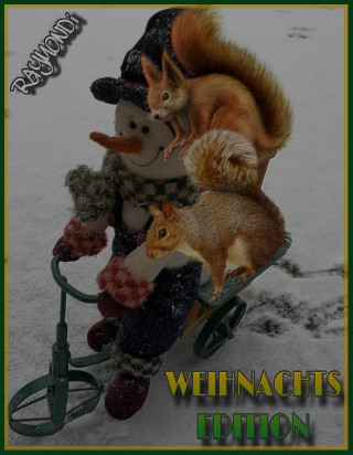 RAYMONDi, VAN_RIDDER ***CHEVALIER***: WEIHNACHTS--EDITION--2017
