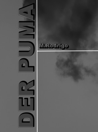 Michele Rodrigo: Der Puma