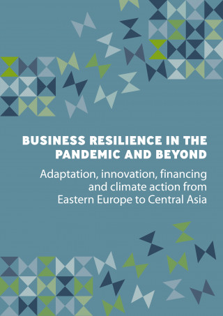Business Resilience in the Pandemic and Beyond