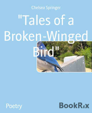 Chelsea Springer: "Tales of a Broken-Winged Bird"