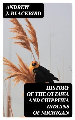 Andrew J. Blackbird: History of the Ottawa and Chippewa Indians of Michigan