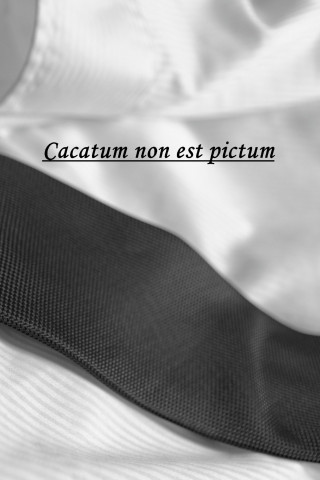 Askson Vargard: Cacatum non est pictum