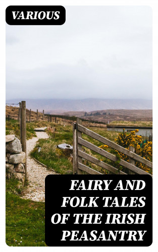 Diverse: Fairy and Folk Tales of the Irish Peasantry