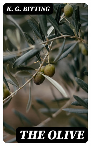 K. G. Bitting: The Olive