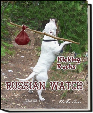 Nellie Cake: Russian Watch