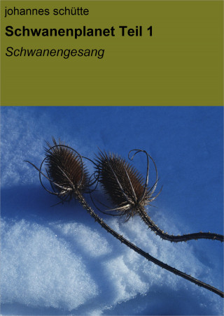 Johannes Schütte: Schwanenplanet