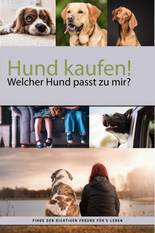 Felix Dr. Labrador: Hund kaufen aber welcher Hund passt zu mir?