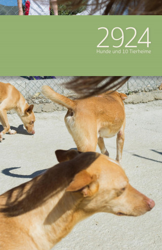 Manuela Dörr: 2924 Hunde und 10 Tierheime : Roman
