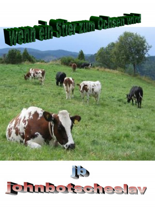 johnbotscheslav: wenn ein Stier zum Ochsen wird
