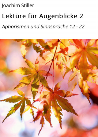 Joachim Stiller: Lektüre für Augenblicke 2