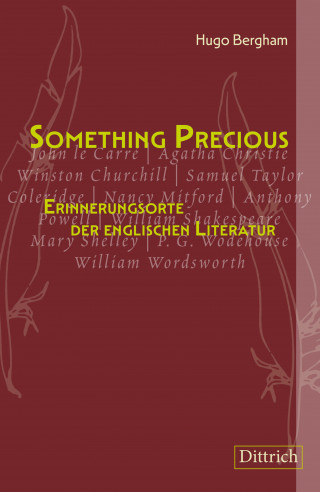 Hugo Bergham: Something Precious