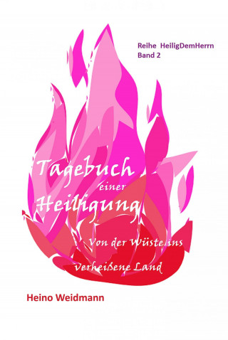 Heino Weidmann: Tagebuch einer Heiligung