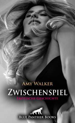 Amy Walker: Zwischenspiel | Erotische Geschichte