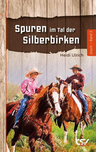 Heidi Ulrich: Spuren im Tal der Silberbirken