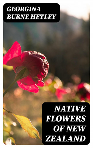 Georgina Burne Hetley: Native Flowers of New Zealand