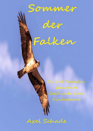 Axel Schade: Sommer der Falken